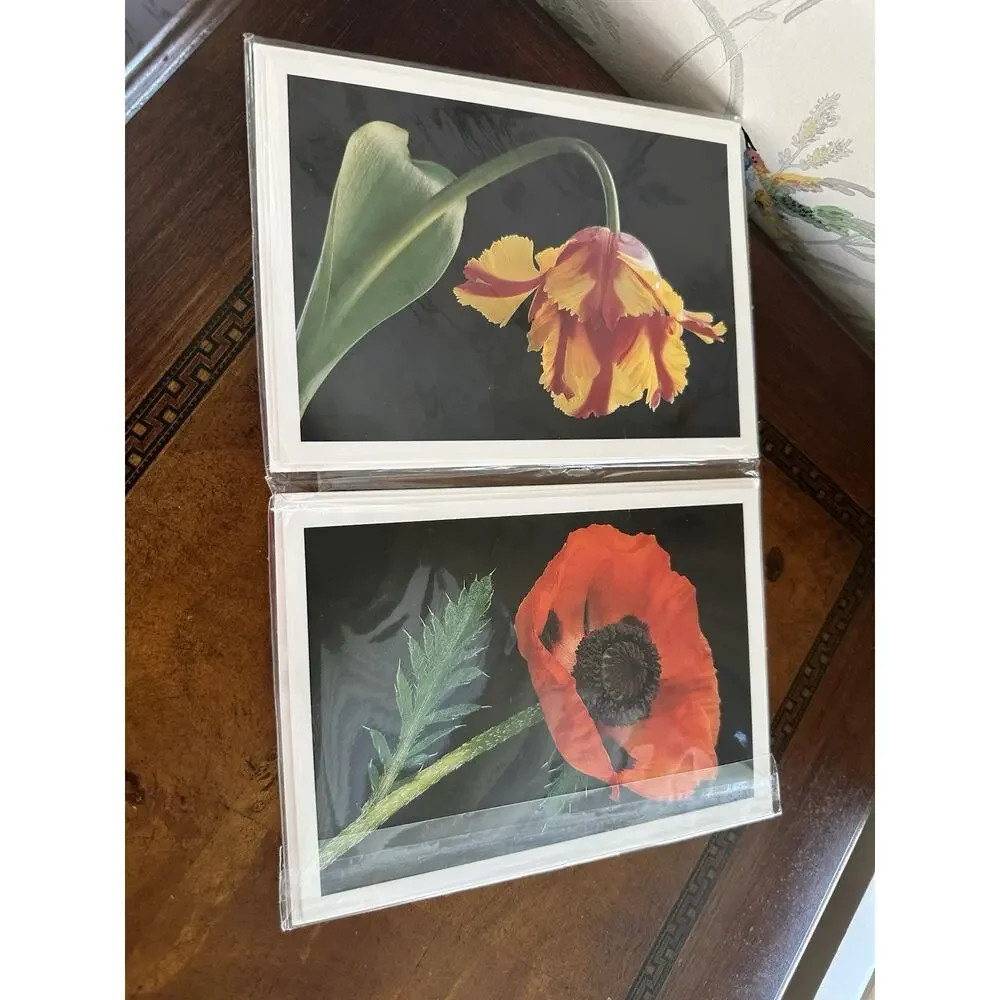 Lauritzen Gardens Note Cards Set Of 8 By Amy Lamb